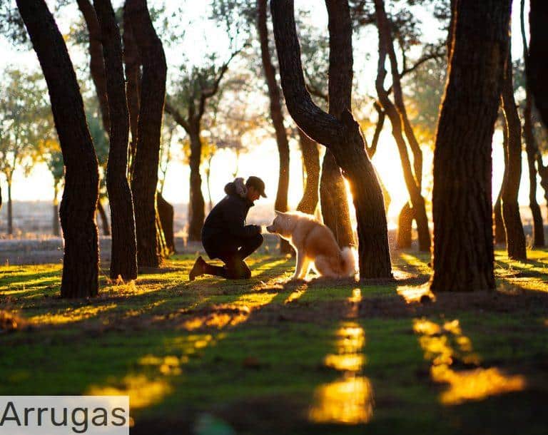 man in front of brown dog in woods