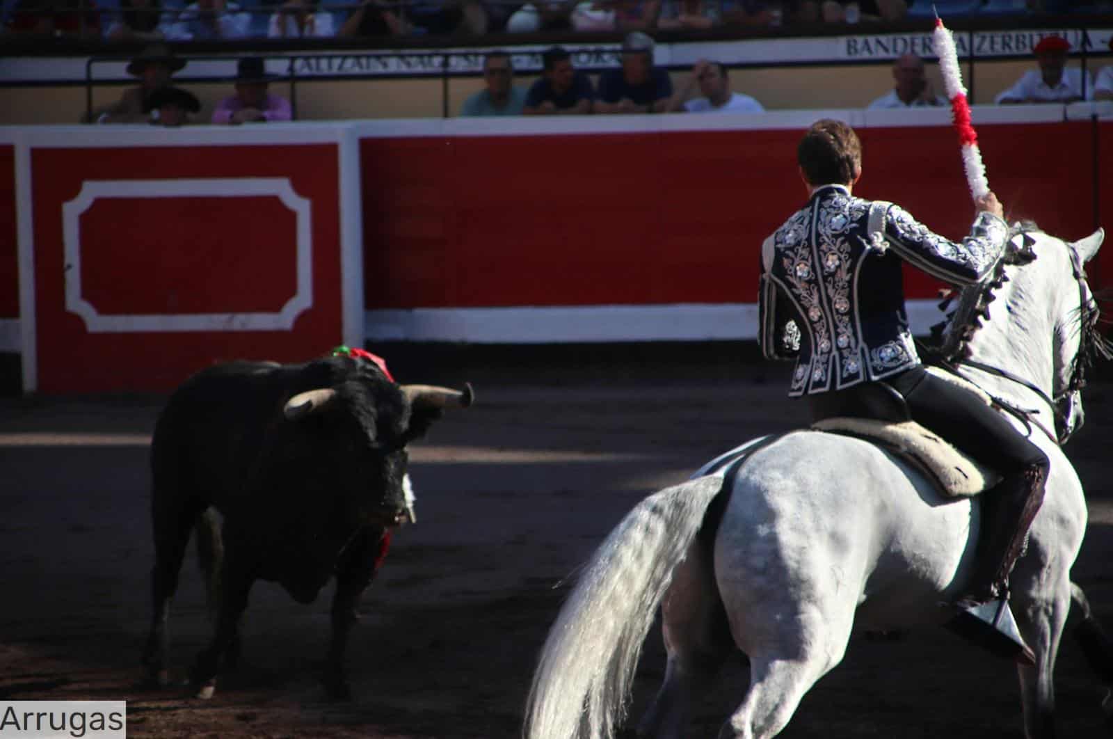 man in black and white long sleeve shirt riding white horse